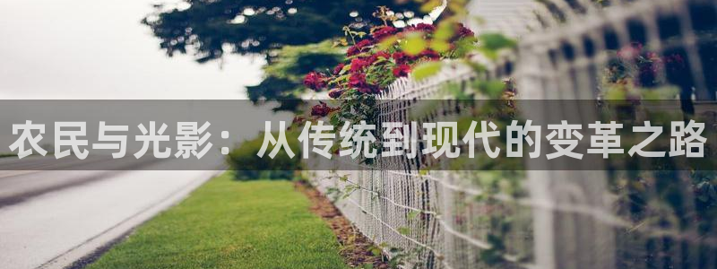 日本理論免費電影：農(nóng)民與光影：從傳統(tǒng)到現(xiàn)代的變革之路