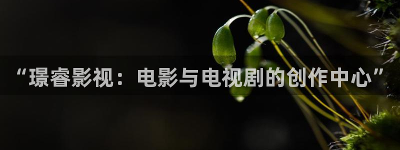 3334k老三理論電影：“璟睿影視：電影與電視劇的創(chuàng)作中心”