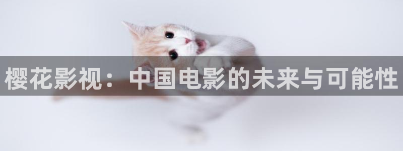 美國理論電影在線看：櫻花影視：中國電影的未來與可能性